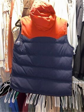Patagonia Vest